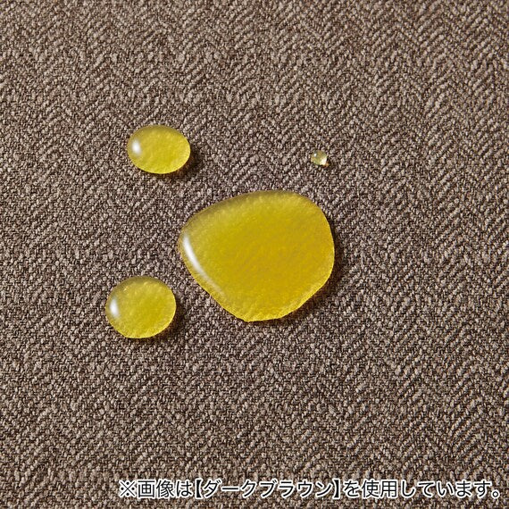 CS-02 COUCH N-SHIELD H-DGY