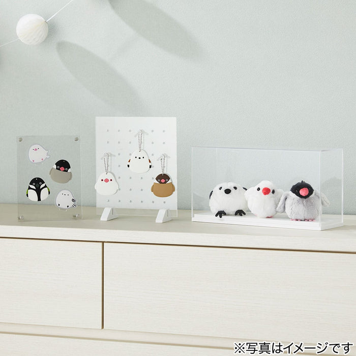 ACRYLIC  BOX