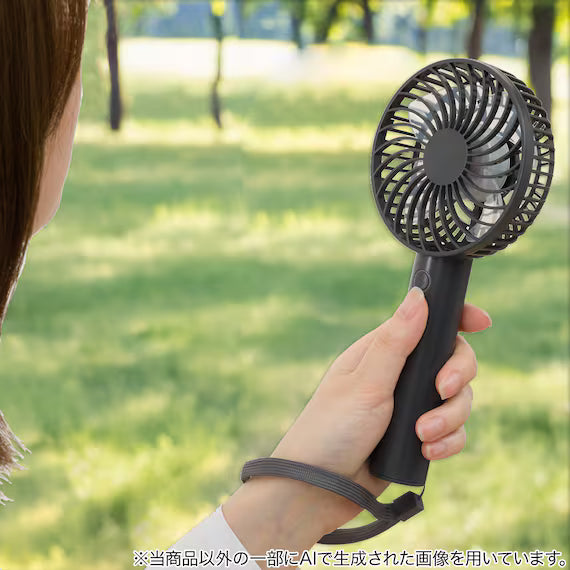 RECHARGEABLE HANDY FAN HF317-DGY