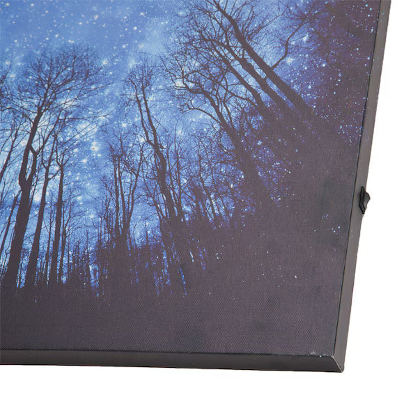 LED CANVAS POSTER ZF01