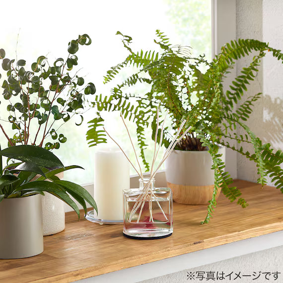AROMA DIFFUSER MS SS01
