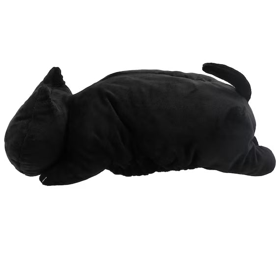 TISSUE CASE CAT24 BK