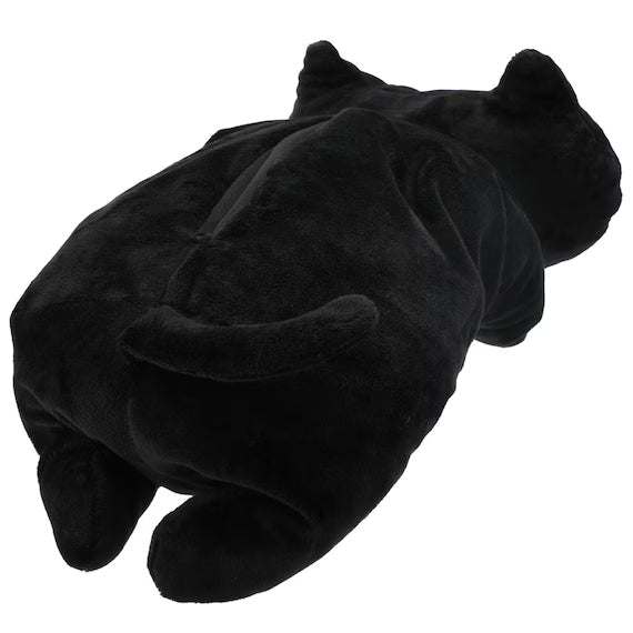 TISSUE CASE CAT24 BK