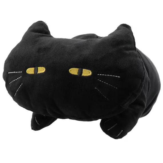 TISSUE CASE CAT24 BK