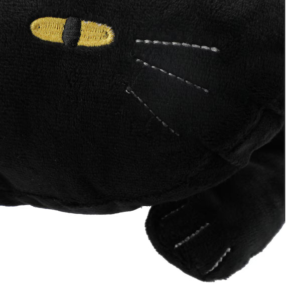 TISSUE CASE CAT24 BK