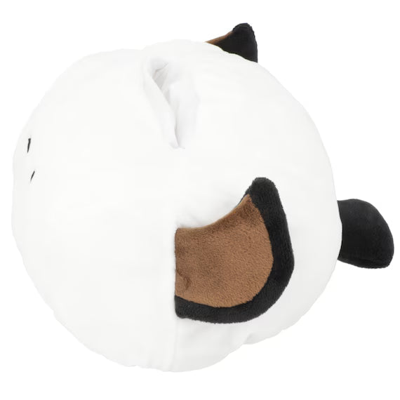 SHIMA-ENAGA TISSUE CASE