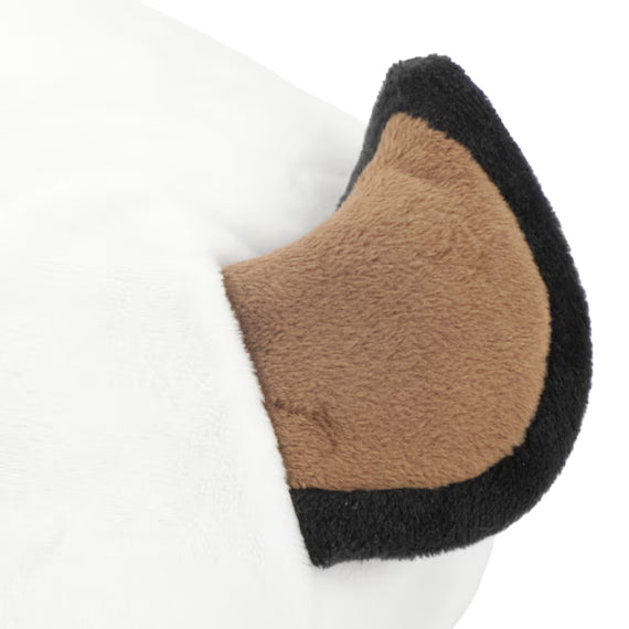 SHIMA-ENAGA TISSUE CASE