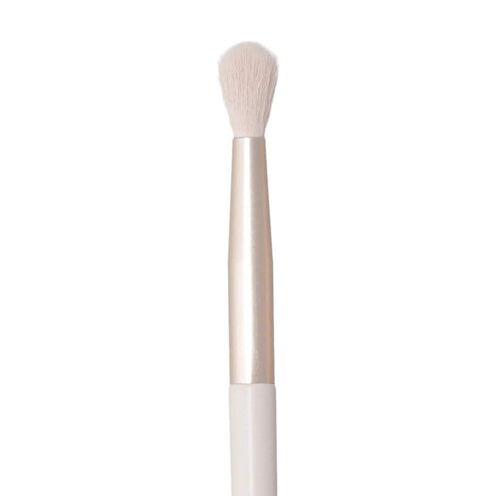 EYESHADOW BRUSH 2PCS SET RFNS