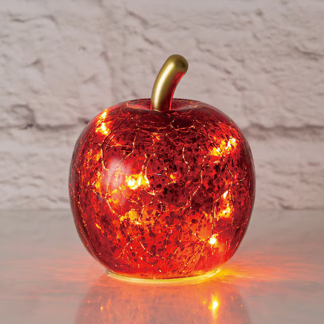 CHRISTMAS LED LIGHT APPLE RED RW-W2107 n4RW