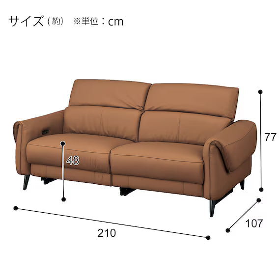 ELECTRIC 3P SOFA LS04 NW BR