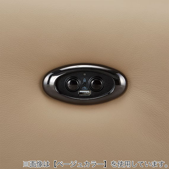 ELECTRIC 3P SOFA LS05 NW BR