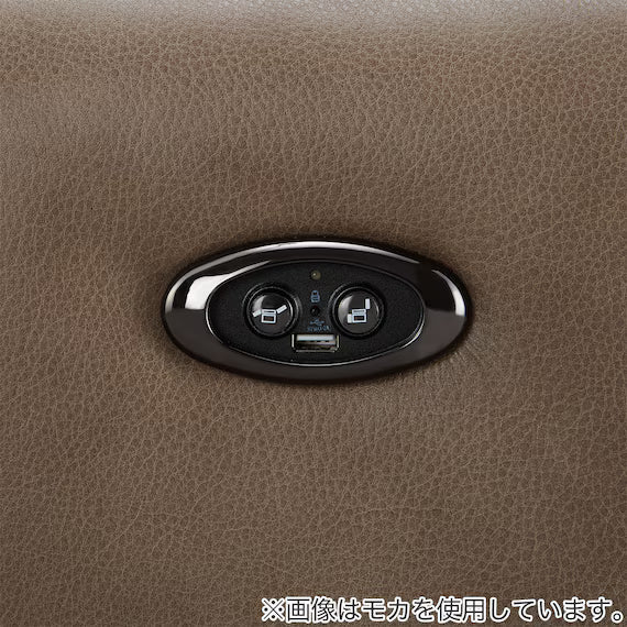 ELECTRIC 3P SOFA LS05 SK DBR