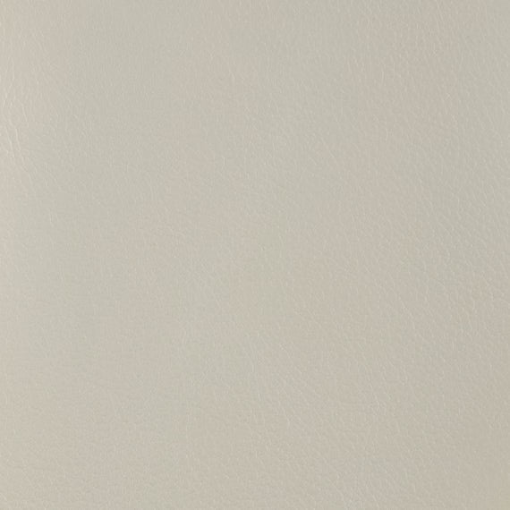 ELECTRIC 2P SOFA LS06 NW LBE