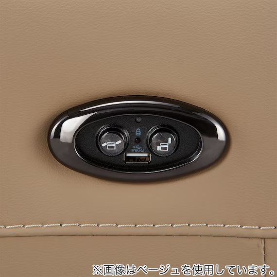 ELECTRIC 3P SOFA LS06 NW BR