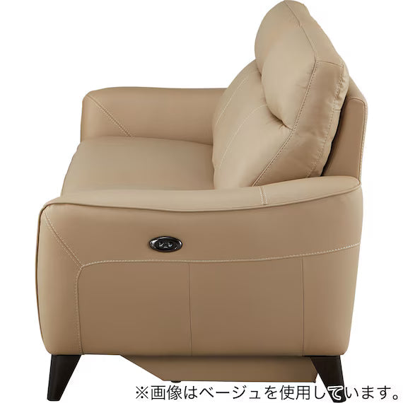 ELECTRIC 3P SOFA LS06 NW DGR