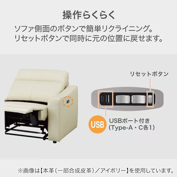 WIDE 2 SEATER ELECTRIC SOFA UM04 DBR