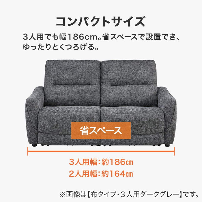 2SEATER RECLINING SOFA HE02N DGY
