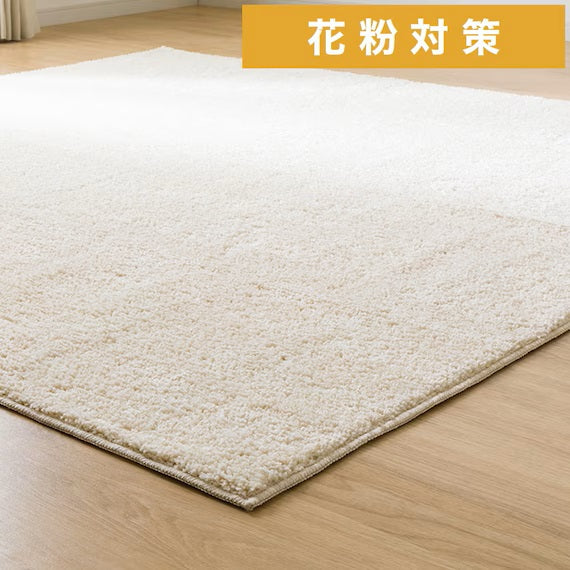 SHAGGY RUG 130X185 BE SR002