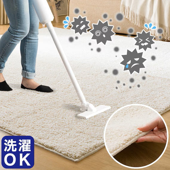 SHAGGY RUG 200X240 BE SR002