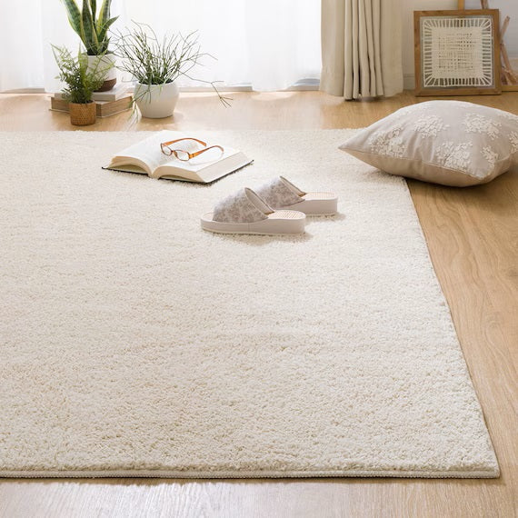 SHAGGY RUG 130X185 BE SR002
