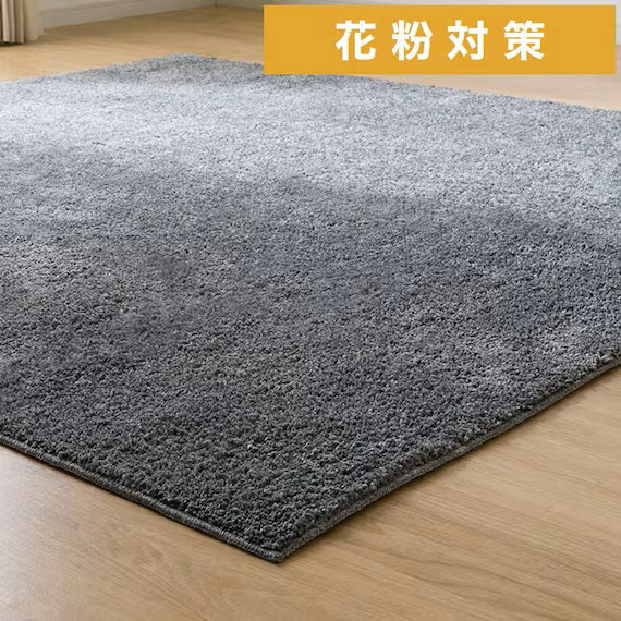 SHAGGY RUG 130X185 MGY SR002