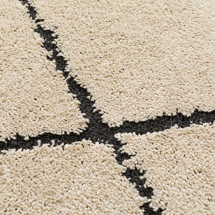TUFTED RUG 200X240 BE SR003