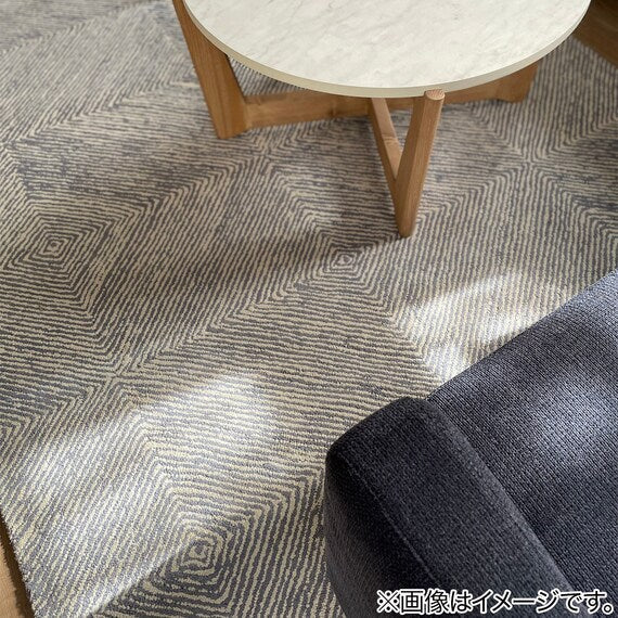 RUG 160X230 ANM012