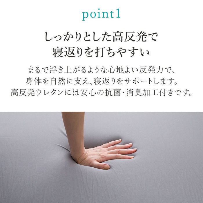HIGH REPULSION MATTRESS PREMIER SUPPORT2 D