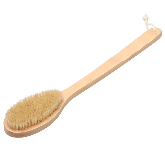 BODY BRUSH WITH WOOD HANDLE WT01