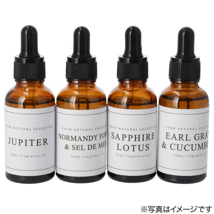 MS Q210610 EARL GRAY CUCUMBER