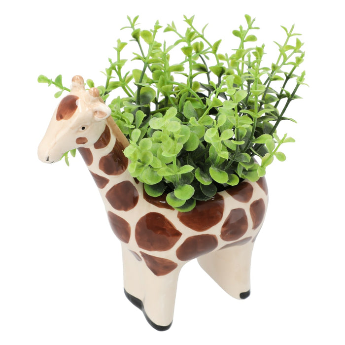 OREGANO IN ANIMAL POT GIRAFF