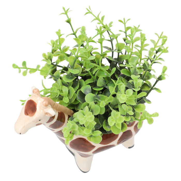 OREGANO IN ANIMAL POT GIRAFF