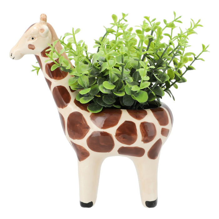 OREGANO IN ANIMAL POT GIRAFF