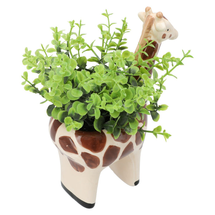 OREGANO IN ANIMAL POT GIRAFF