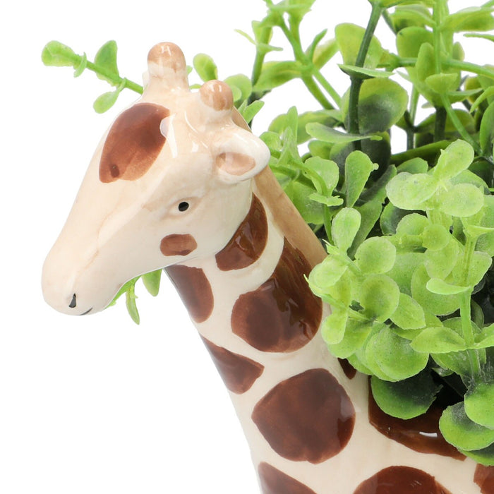 OREGANO IN ANIMAL POT GIRAFF