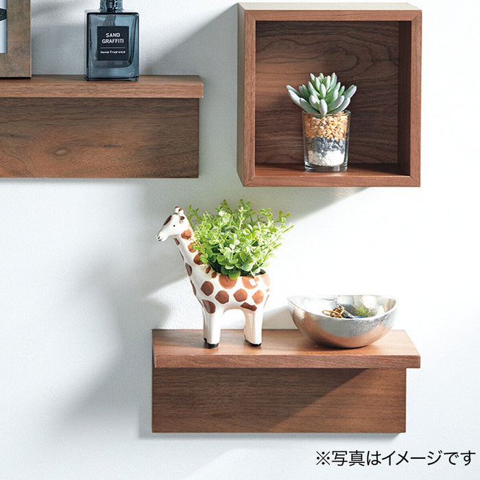 OREGANO IN ANIMAL POT GIRAFF