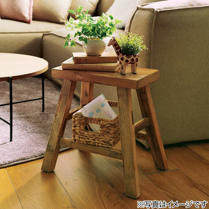 OREGANO IN ANIMAL POT GIRAFF