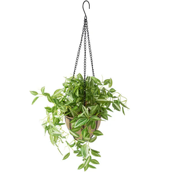 69CM WANDERING JEW (W/IRONWARE POT) KM09-S194/272ONT