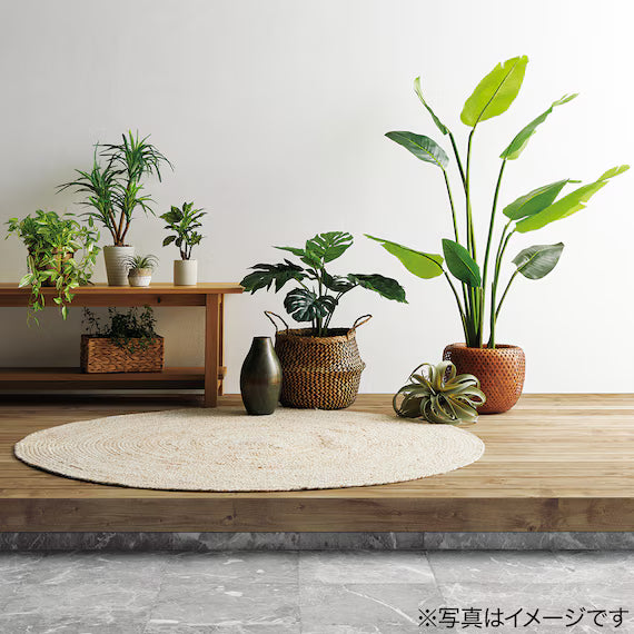 69CM WANDERING JEW (W/IRONWARE POT) KM09-S194/272ONT