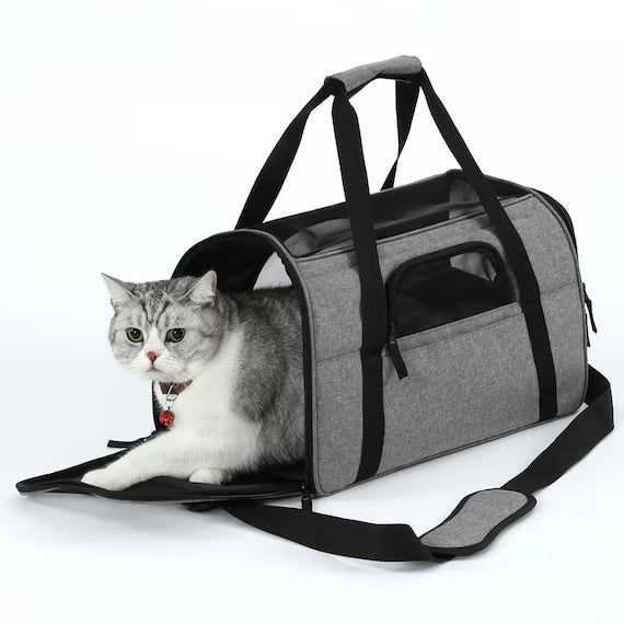 PET CARRY BT-P010