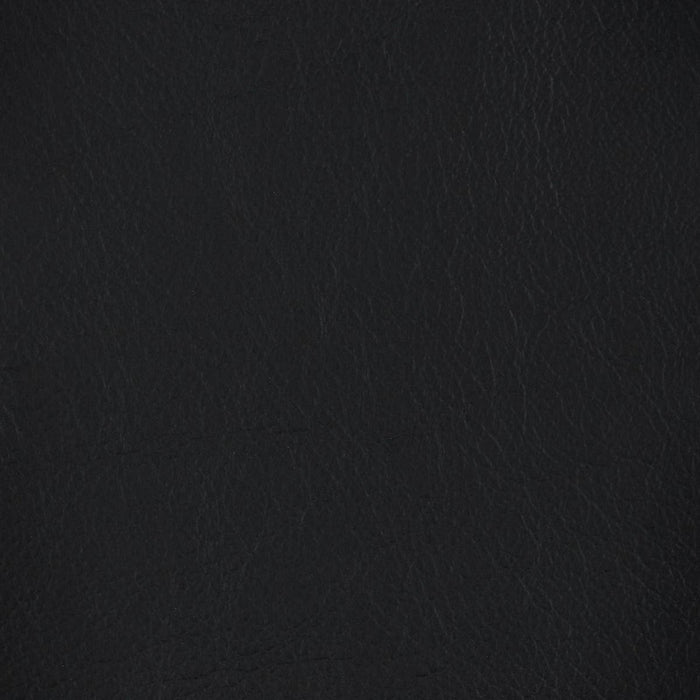 ELECTRIC 2P SOFA LS04 NW BK