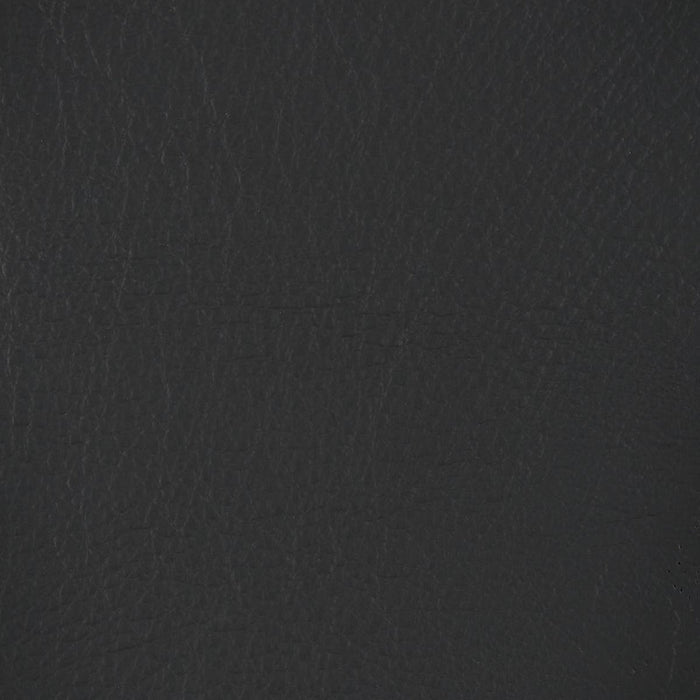 ELECTRIC 2P SOFA LS05 NW DGY