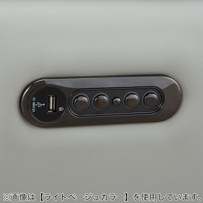 2M ELECTRIC 3P SOFA LS02 NW DGY