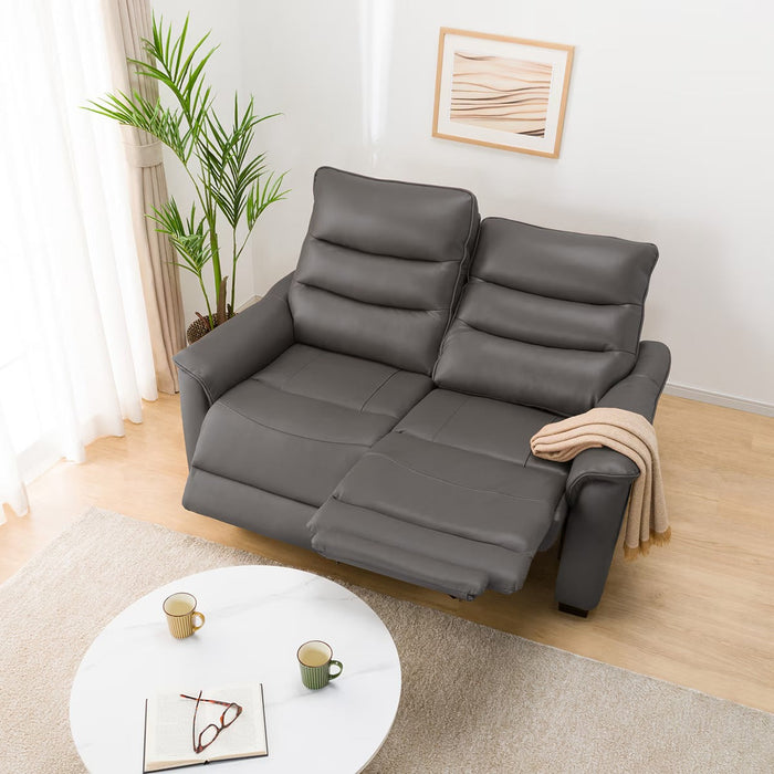 2P ELECTRIC SOFA N-BELIEVA 3 TK-LEATHER DGY