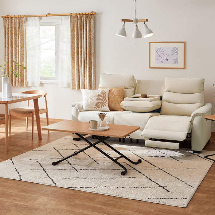 3P ELECTRIC SOFA N-BELIEVA 3 N-SHIELD IV