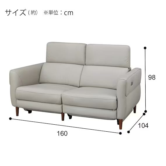 2 SEATER ELECTRIC SOFA KK026 LEATHER MGY