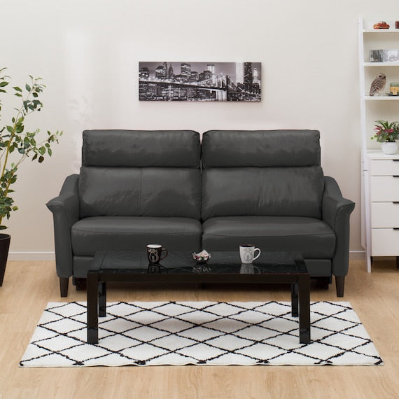 3P ELECTRIC SOFA CHERRYB SK GY