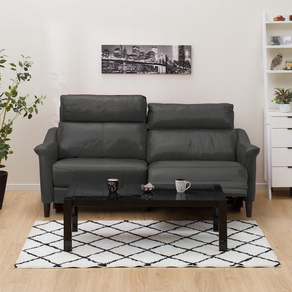 3P ELECTRIC SOFA CHERRYB SK GY