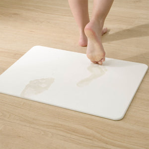 DIATOMITE BATH MAT DRY2 IV 29X39