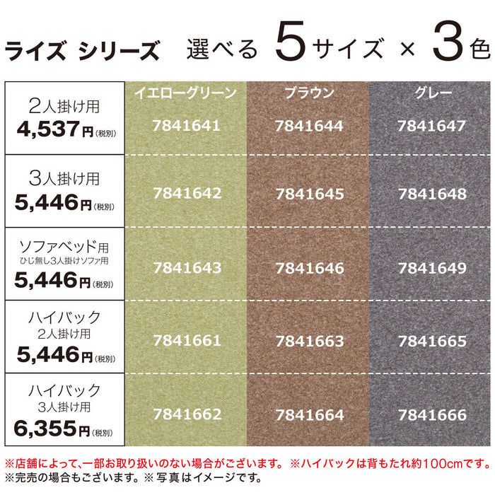 STRETCHED SOFA COVER WITH ARM RISE 2P GR